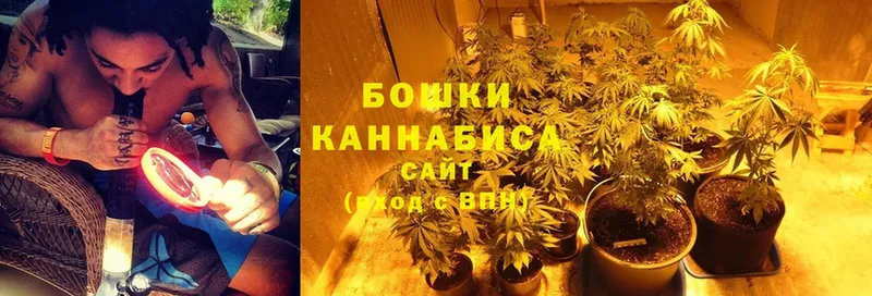 Бошки Шишки White Widow  Навашино 